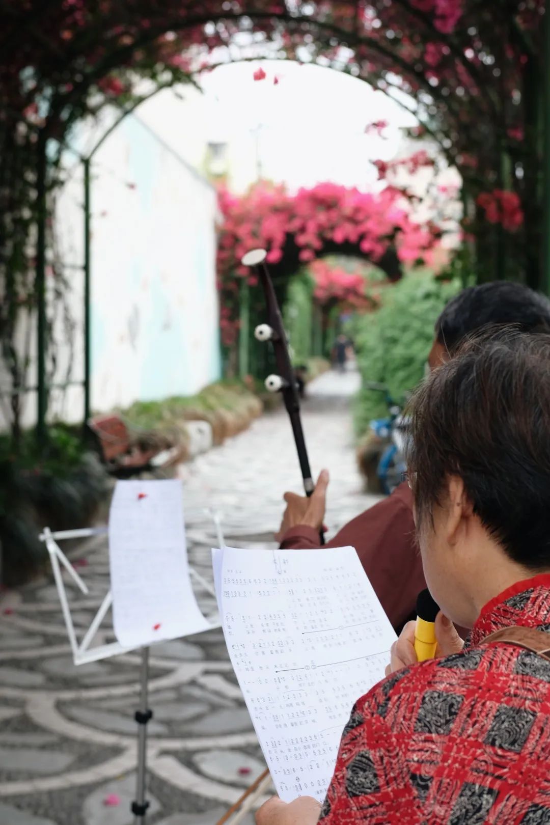 少陵路属于什么街道,没有任何历史的城市