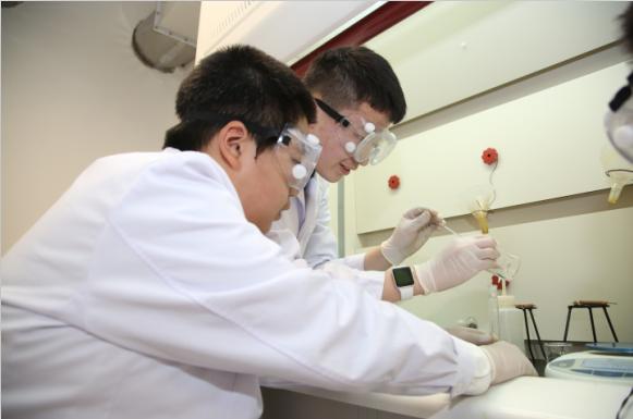 私立汇佳是ib课程吗,中招考试国际学校