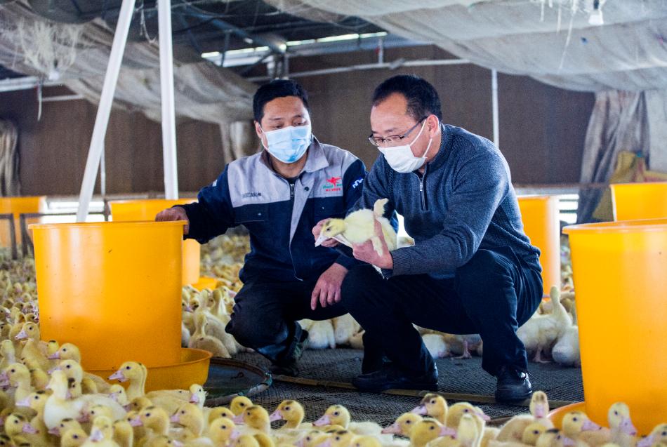 福建省工商联发挥自身优势助力脱贫致富按下“快进键”