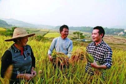 福建省工商联发挥自身优势助力脱贫致富按下“快进键”