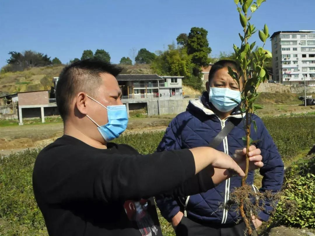 福建省工商联发挥自身优势助力脱贫致富按下“快进键”