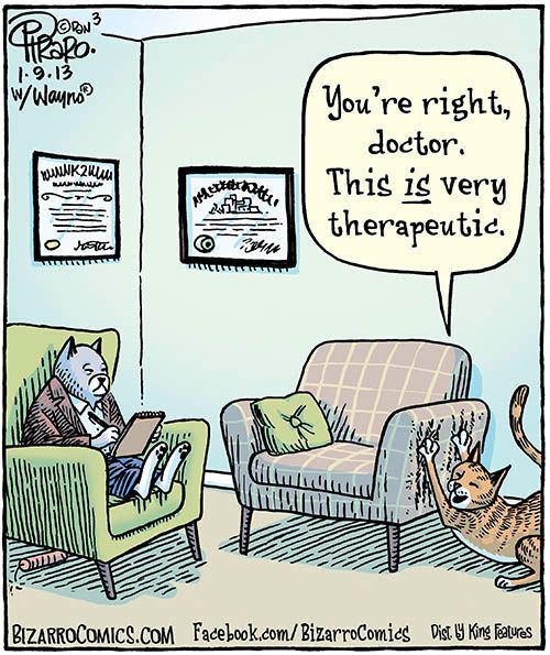 来看看咨询室里这些小可爱们｜精神分析师说