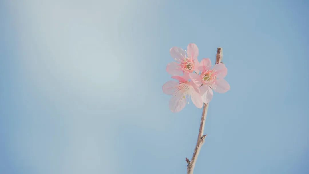 更年期的健康智慧,更年期的智慧剧情