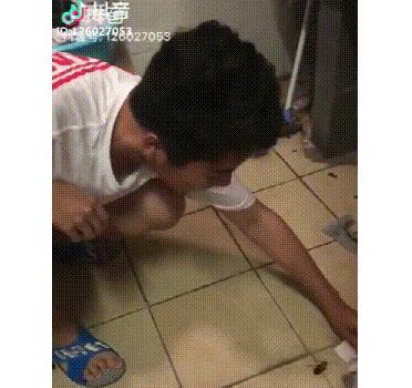 冬季蟑螂不休眠抓住灭蟑的好时机,灭蟑螂的最好方法家里有很多蟑螂