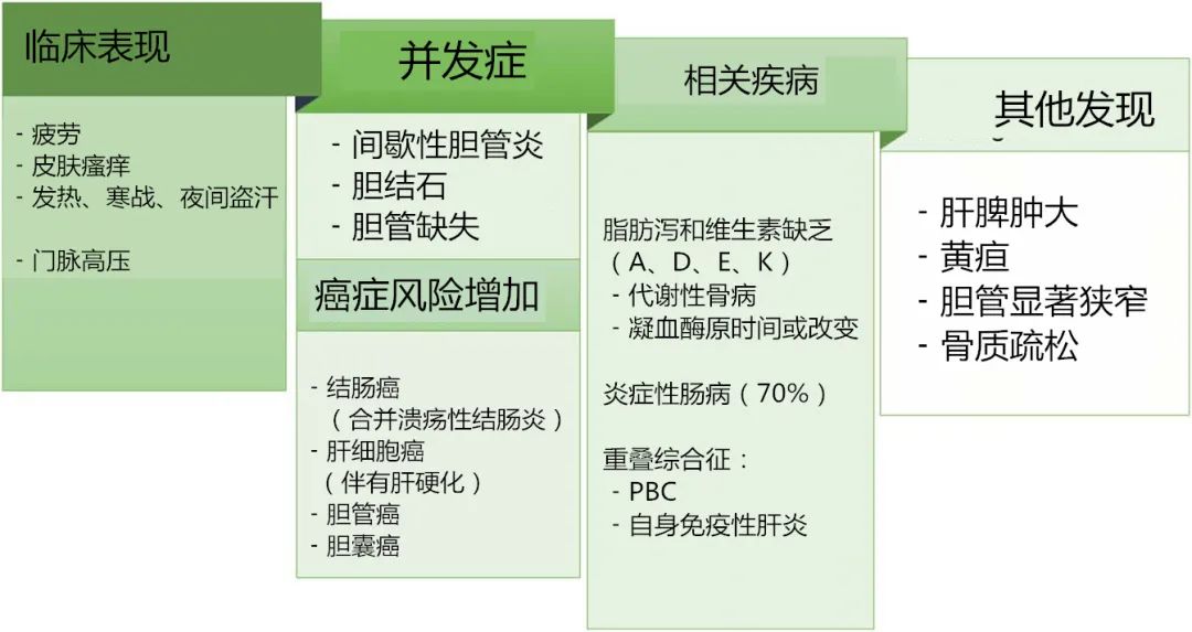 原发性硬化性胆管炎b超检查表现,原发性硬化性胆管炎最新研究
