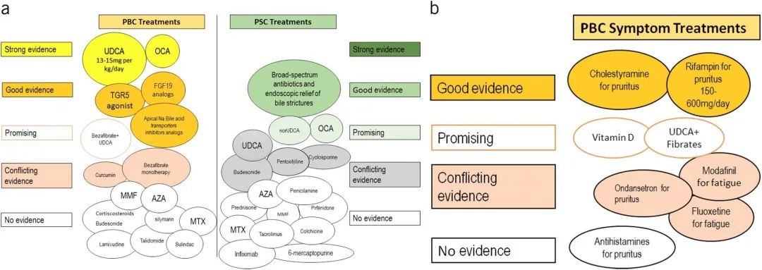 原发性硬化性胆管炎b超检查表现,原发性硬化性胆管炎最新研究