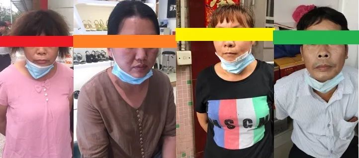 海底龟煲汤功效,海底龟煲汤