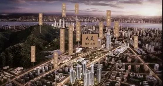 day9,day9的价目表