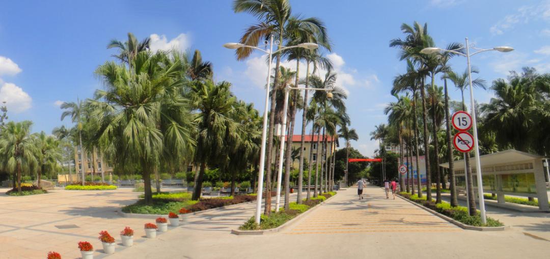 福建闽江学院改名,福建这几所高校将转设改名