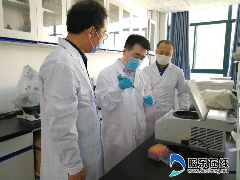 重磅！烟大研究团队与意大利学者联合发表七叶皂苷与新冠肺炎治疗