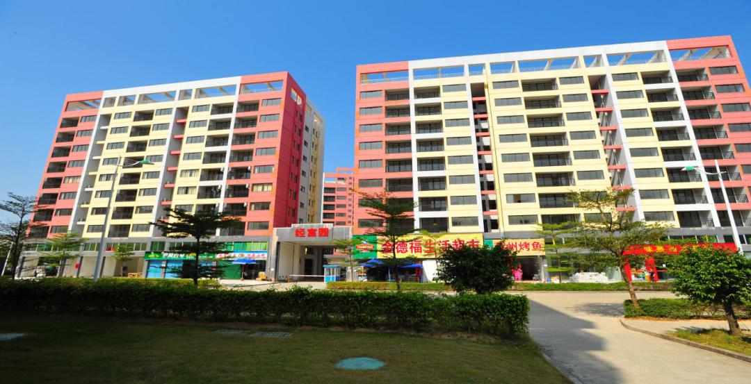 深圳首批人才房今起配售,深圳龙岗2021年第一批公租房