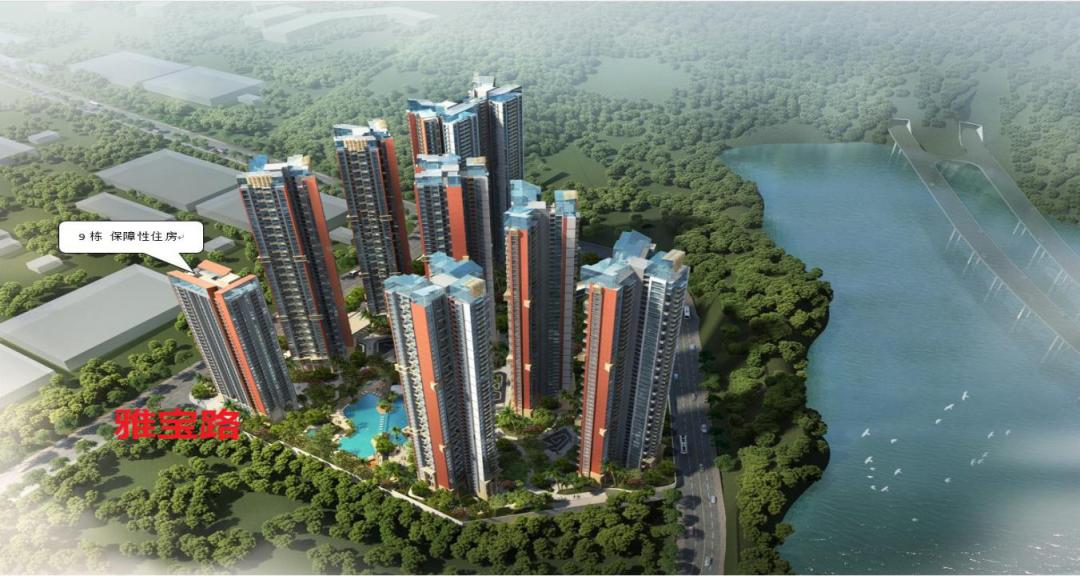 深圳首批人才房今起配售,深圳龙岗2021年第一批公租房