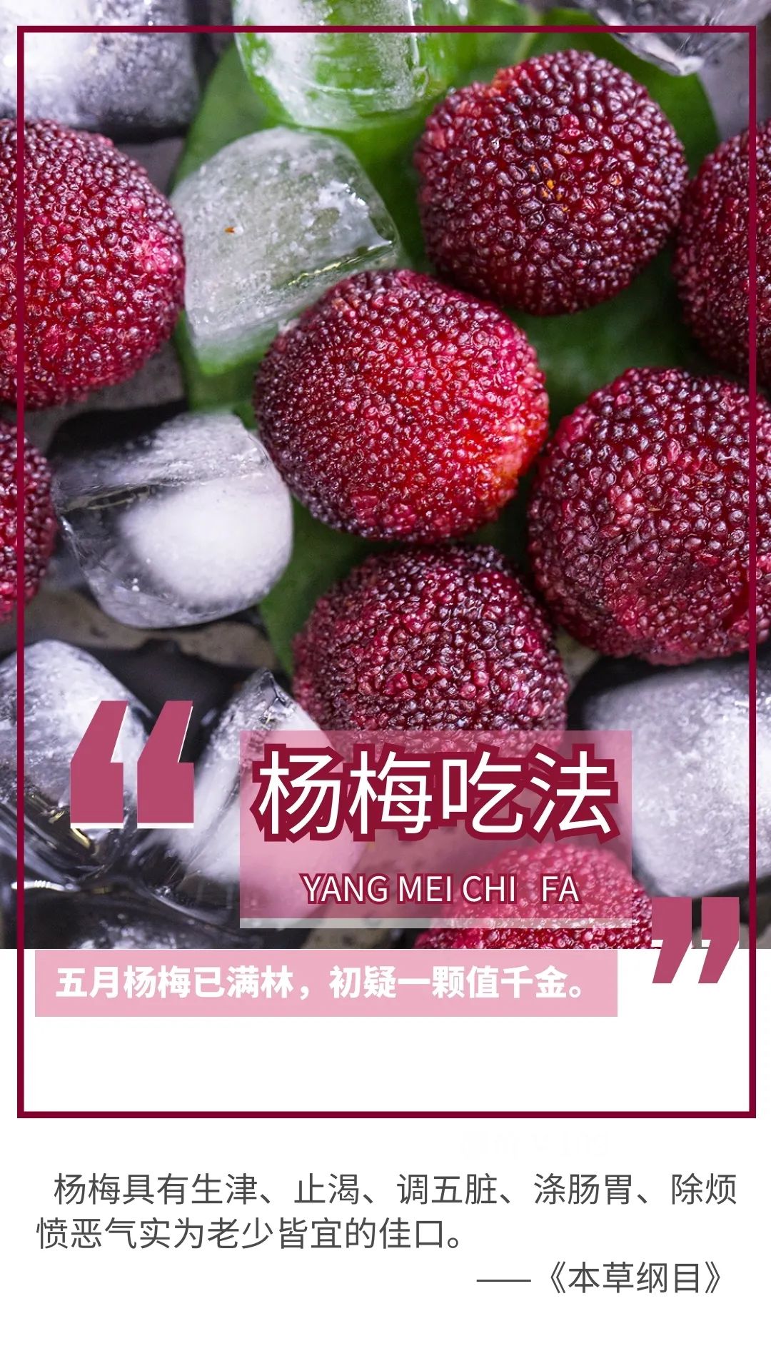 吃杨梅的季节尝一尝春天的味道,昆明又到了吃花的季节