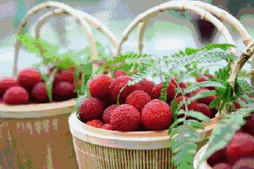 吃杨梅的季节尝一尝春天的味道,昆明又到了吃花的季节