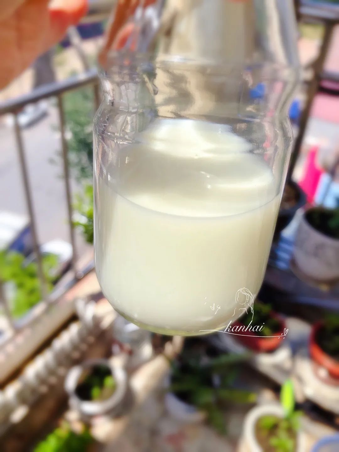 喜宝有机婴幼儿辅食米粉,喜宝辅食