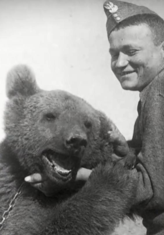 最骚士兵熊：抽烟喝酒花钱，样样在行，还是个战斗英“熊”