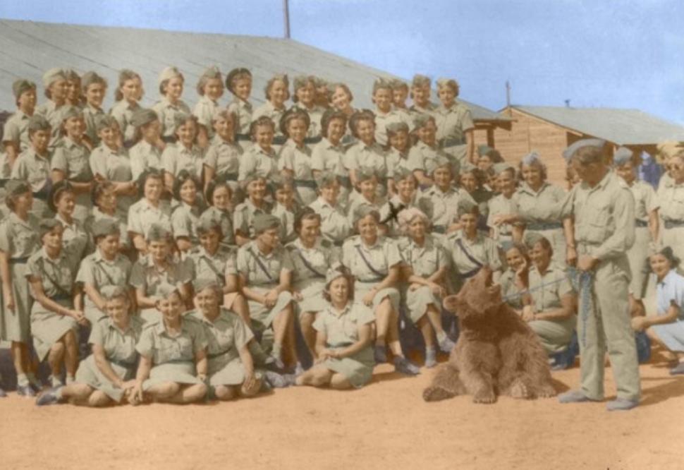 最骚士兵熊：抽烟喝酒花钱，样样在行，还是个战斗英“熊”