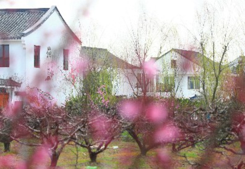 砥砺前行战中考齐心协力创辉煌,奉贤美奉贤强新答卷