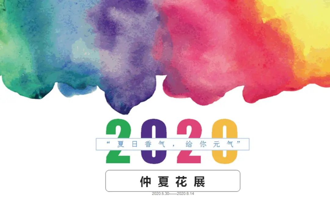 绝了，夏天一定请来这！松江要你眼“花”缭乱