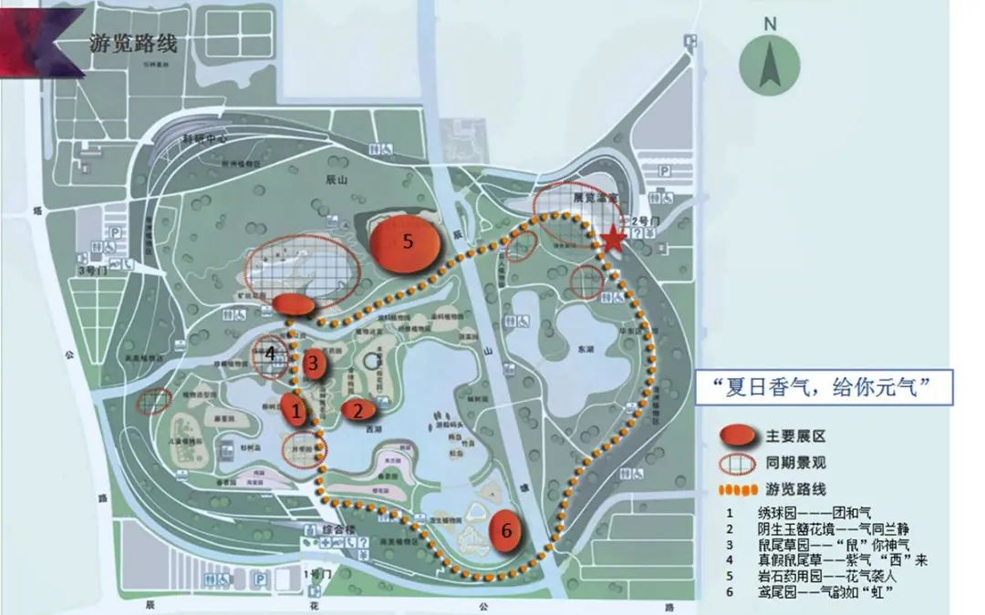 绝了，夏天一定请来这！松江要你眼“花”缭乱