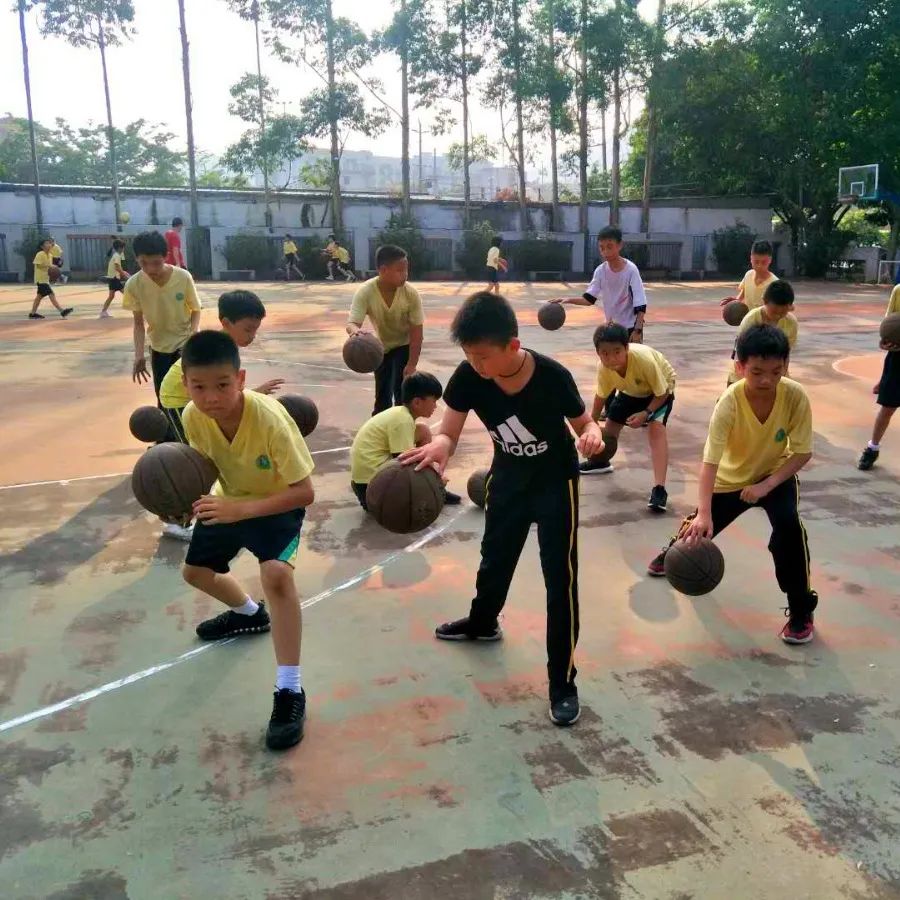 广东增城第一批学校名单,增城2所学校上榜省级名单