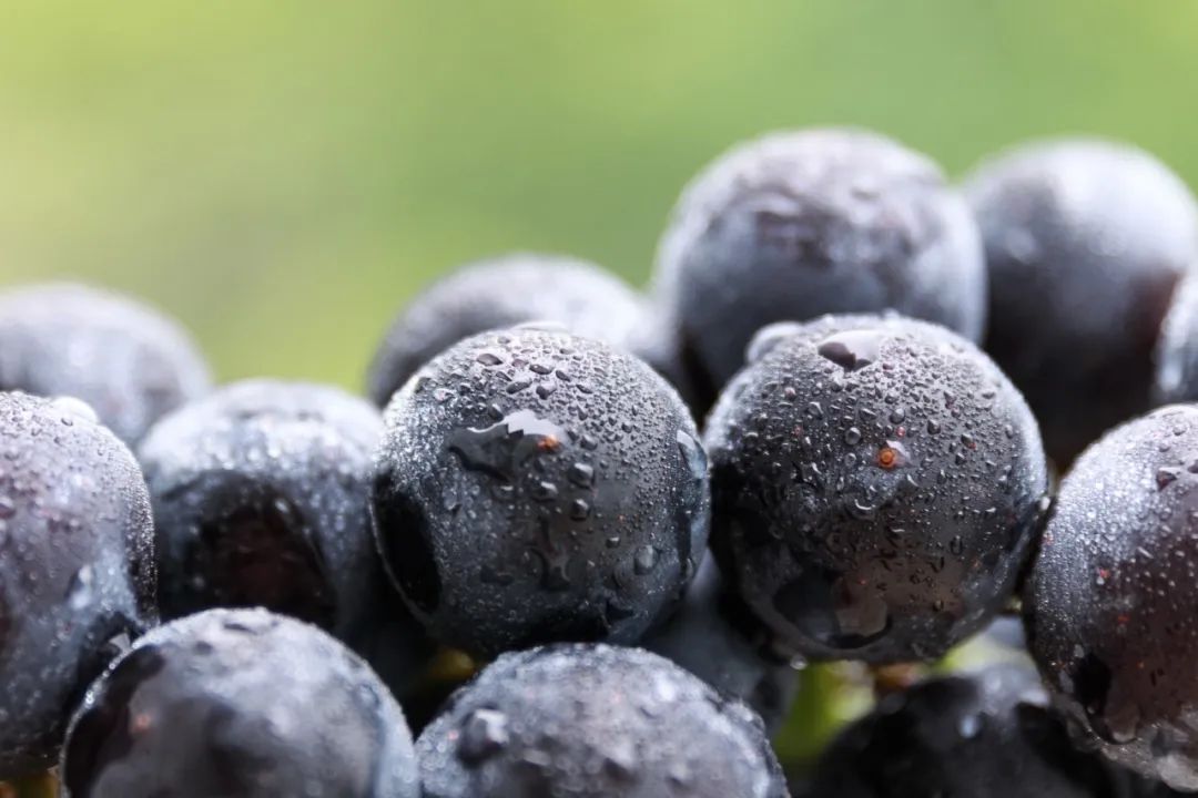 618超值好物瑜伽垫,618超值好物磨砂壳