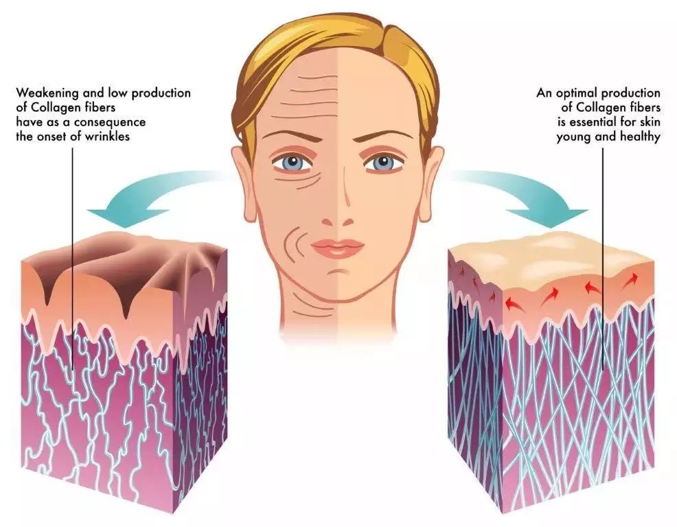 日本胶原蛋白美白,胶原蛋白紧致赋颜精华粉