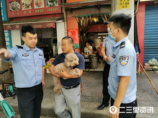 铲屎官注意避免自家宠物惹火,西安抓到禁养犬怎么办
