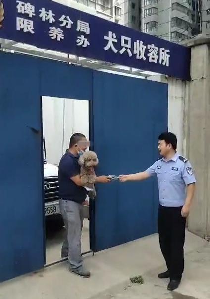 铲屎官注意避免自家宠物惹火,西安抓到禁养犬怎么办
