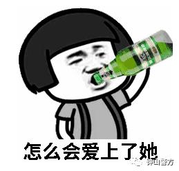 公安破获美女诈骗,警方抓获诈骗女