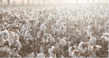 云朵袜秋冬,轻盈透气云朵袜