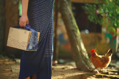 这个周末你又在玩什么手机游戏,这个周末你有什么新的体验