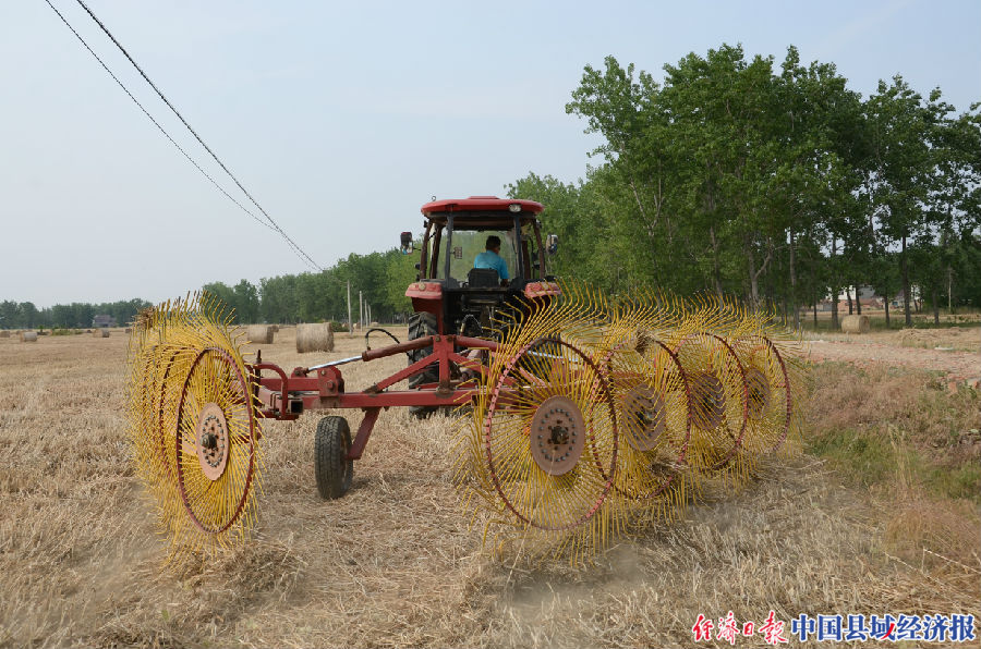宿迁麦草秸秆,秸秆五化综合利用