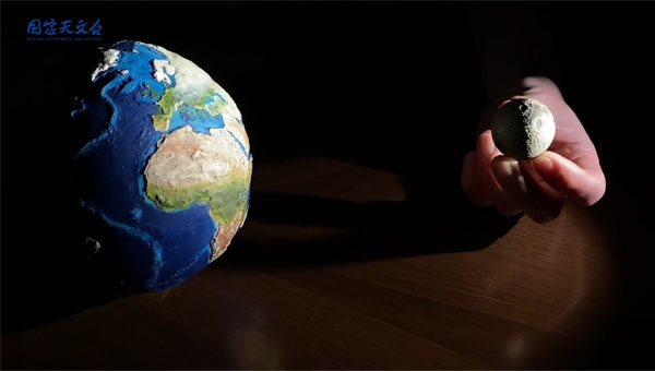 科学日,国际科学日