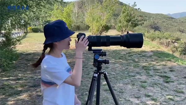 科学日,国际科学日