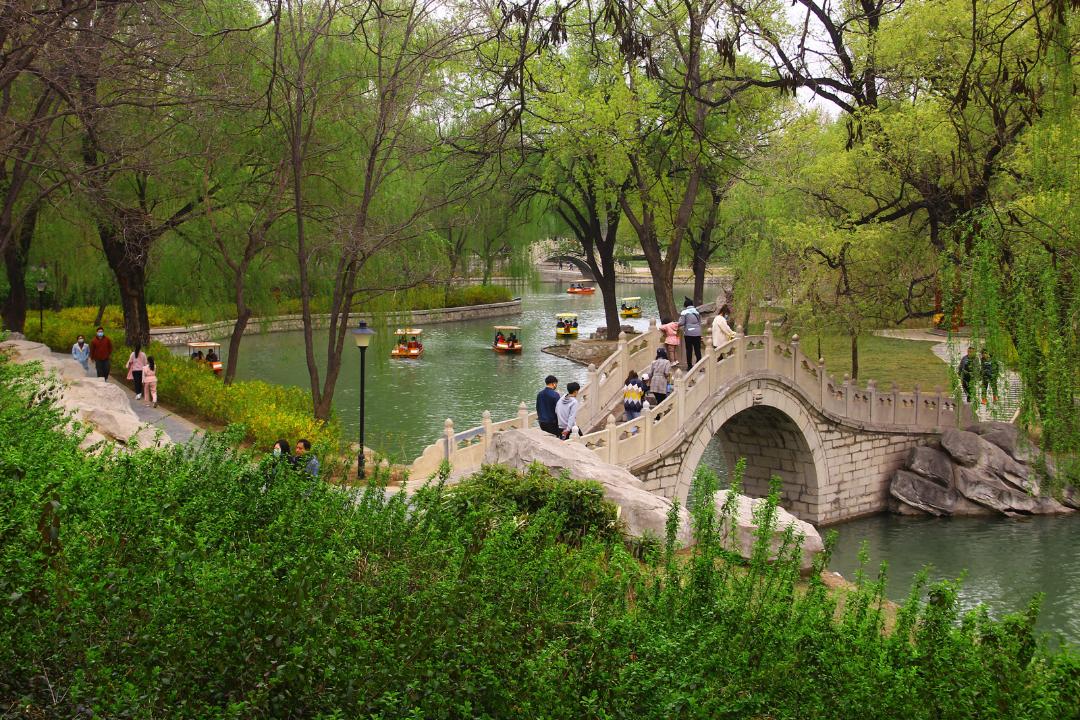 邢台市第二幼儿园报名入口,邢台市幼儿园2024春季招生