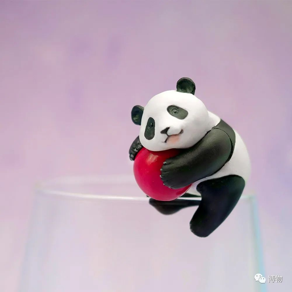 大熊猫一生没有彩色照片,大熊猫的愿望彩色照片