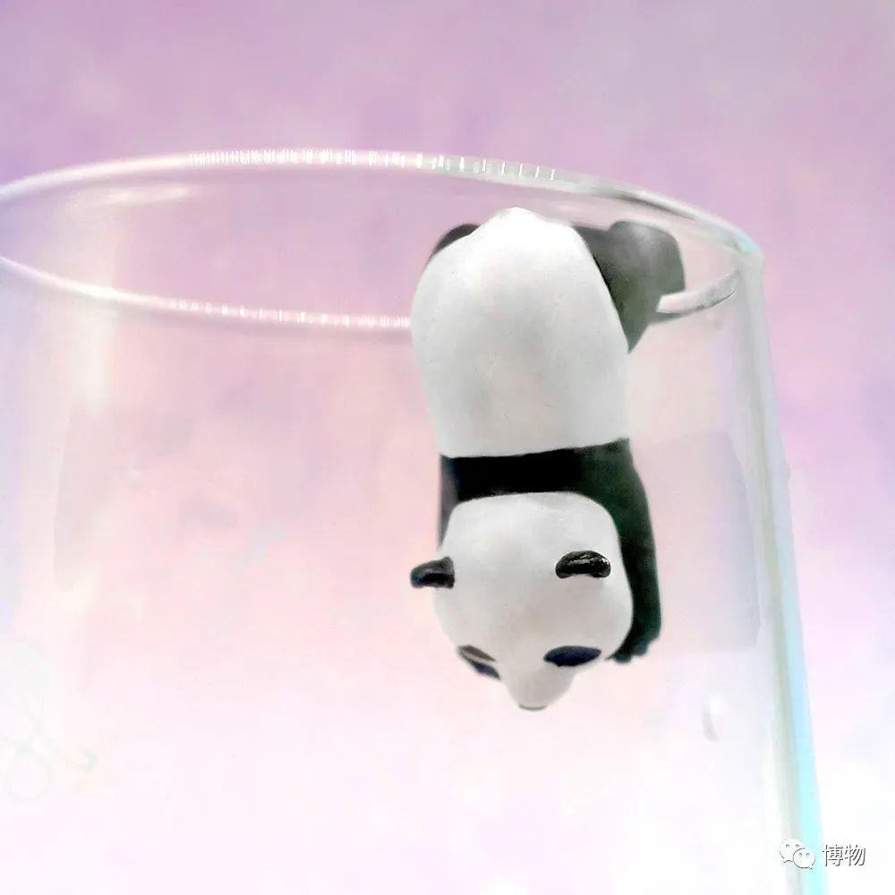 大熊猫一生没有彩色照片,大熊猫的愿望彩色照片