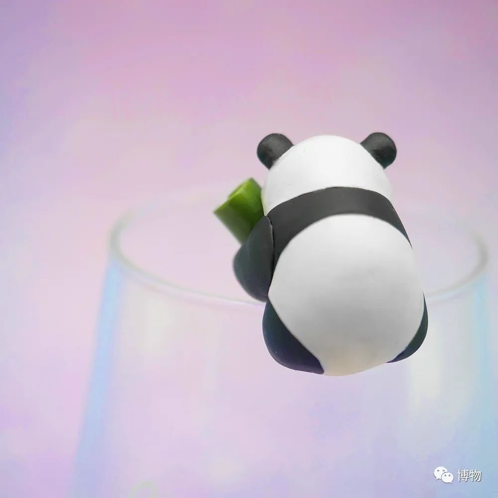 大熊猫一生没有彩色照片,大熊猫的愿望彩色照片