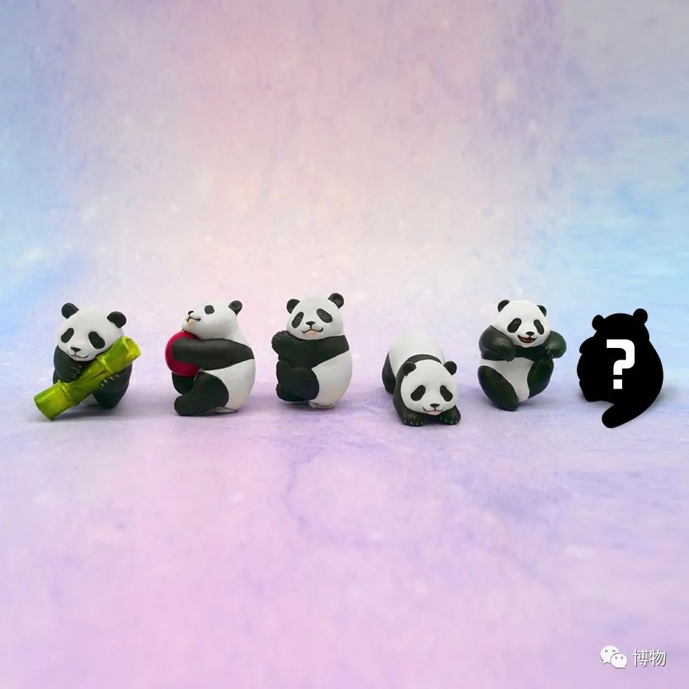 大熊猫一生没有彩色照片,大熊猫的愿望彩色照片