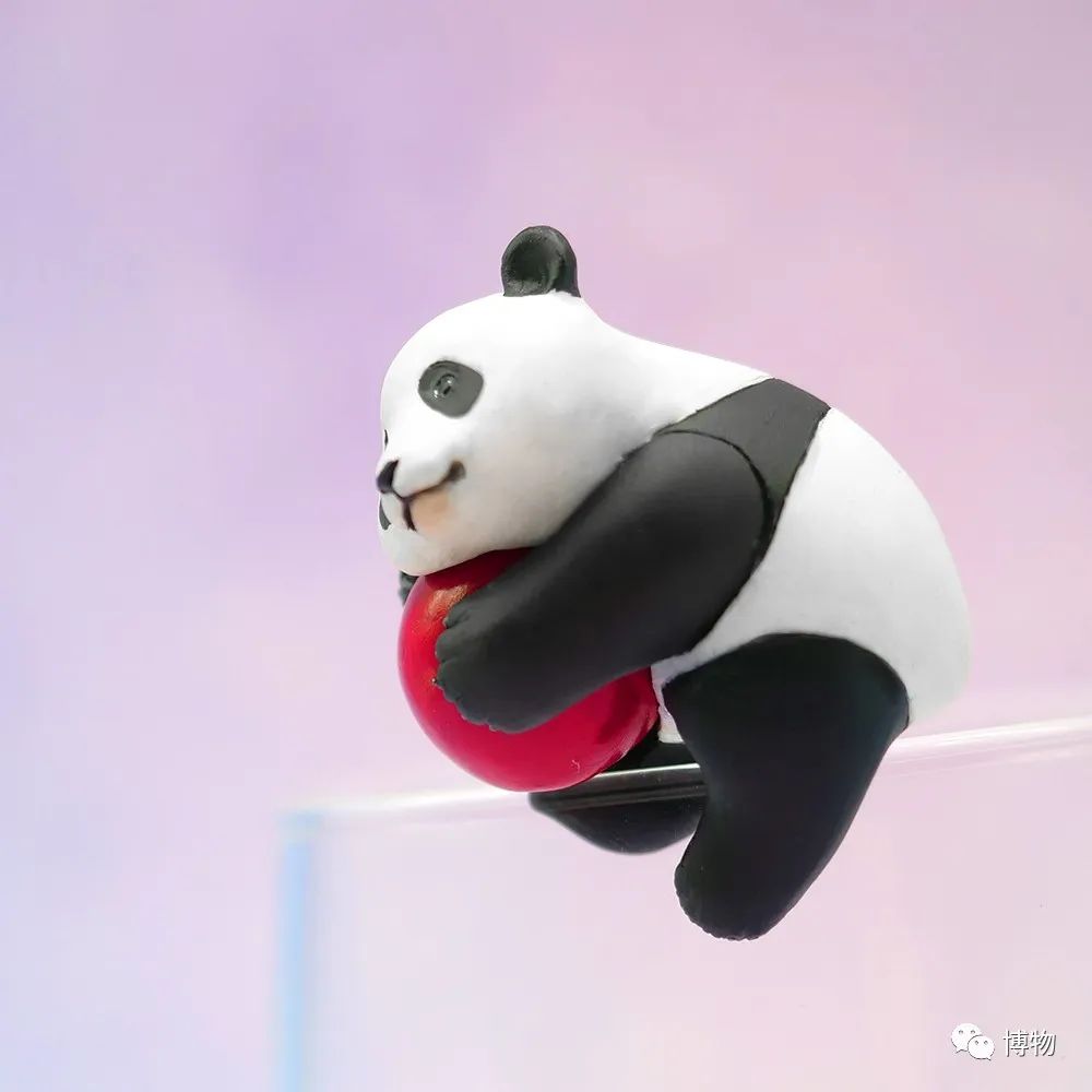 大熊猫一生没有彩色照片,大熊猫的愿望彩色照片