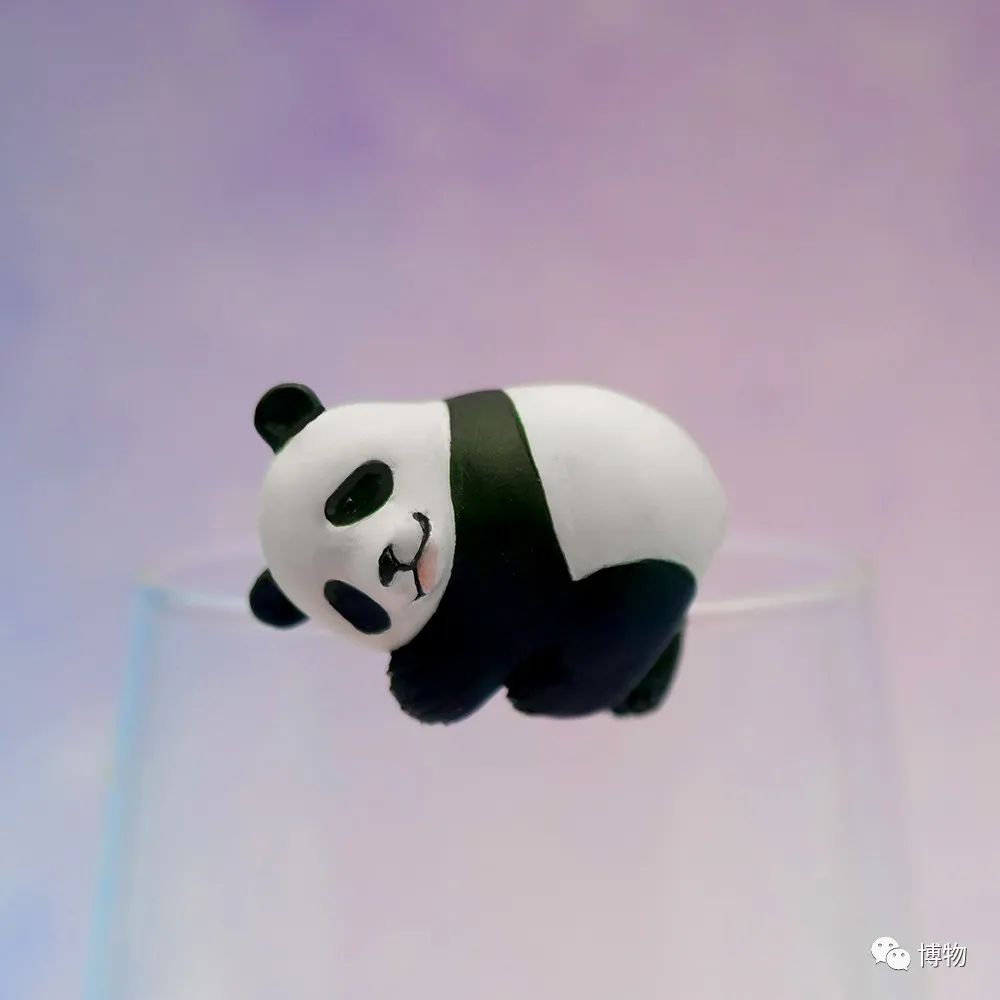 大熊猫一生没有彩色照片,大熊猫的愿望彩色照片