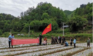 新农村文星村党日活动,山泉村主题党日活动记录