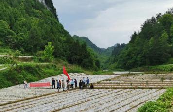 新农村文星村党日活动,山泉村主题党日活动记录