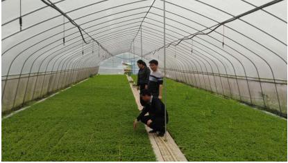 新农村文星村党日活动,山泉村主题党日活动记录