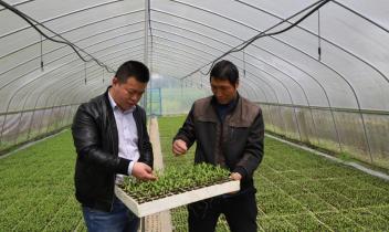 新农村文星村党日活动,山泉村主题党日活动记录