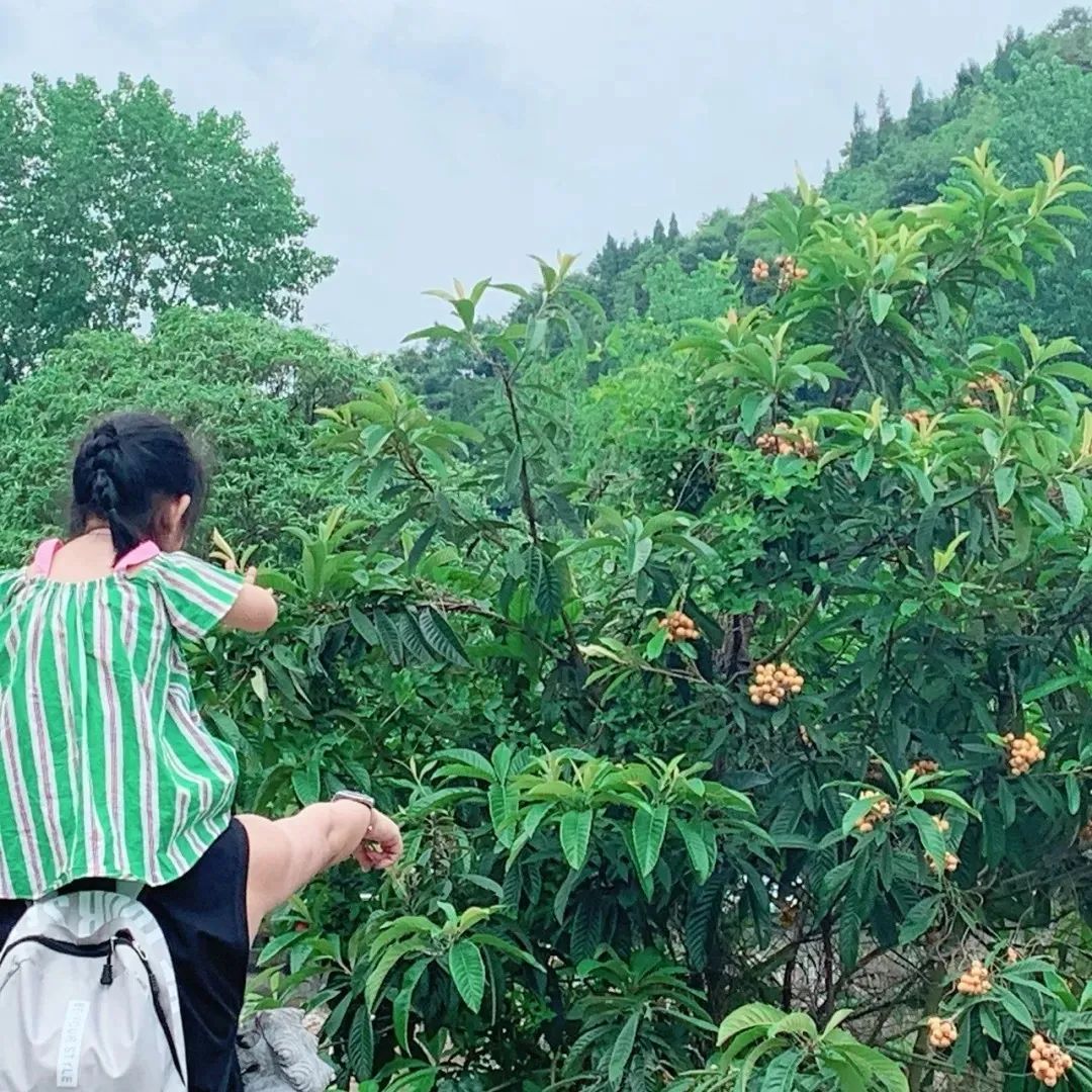 大朋友小朋友，六一去哪嗨？宜昌14家景区特惠福利来袭！