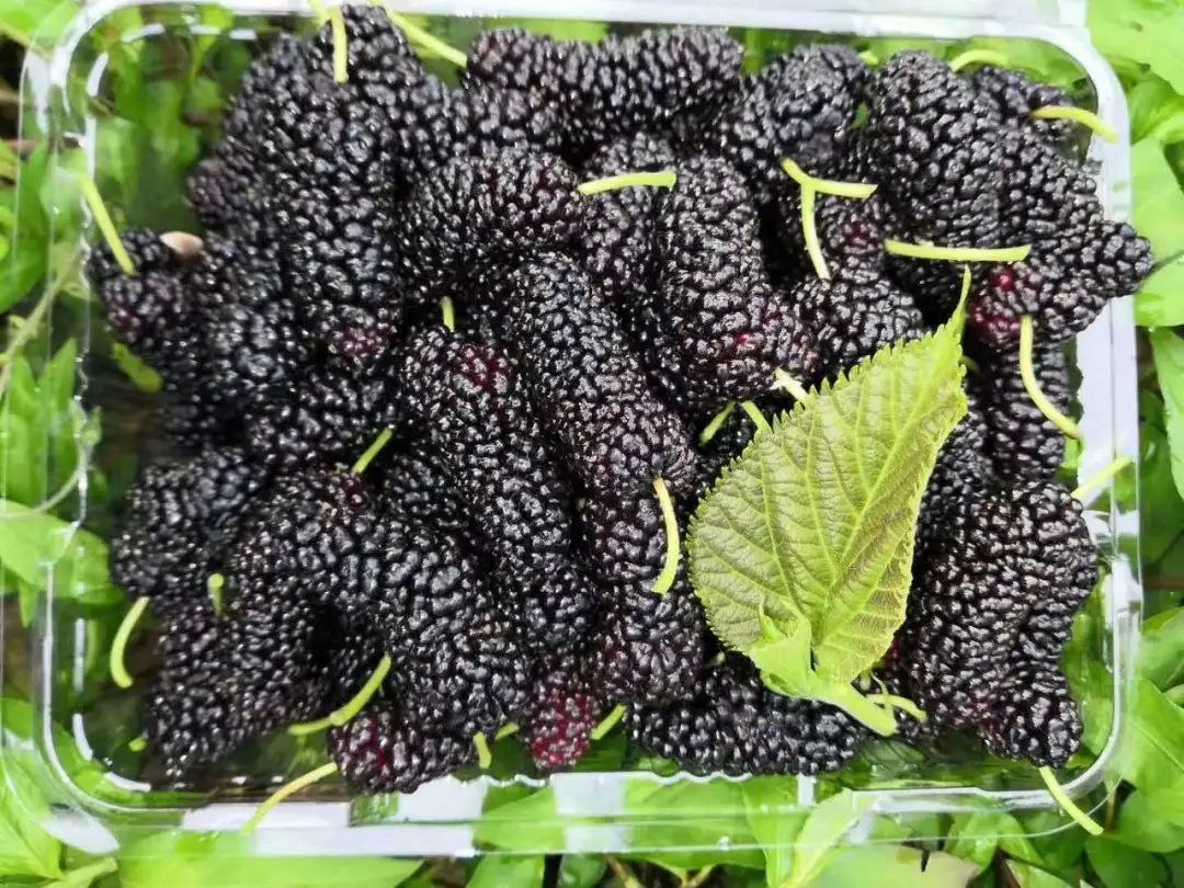 大朋友小朋友，六一去哪嗨？宜昌14家景区特惠福利来袭！