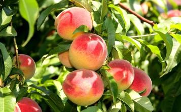 大朋友小朋友，六一去哪嗨？宜昌14家景区特惠福利来袭！