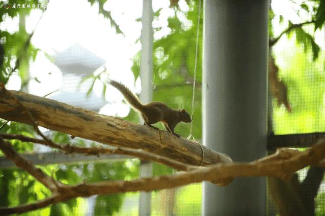 带娃出去玩的公园推荐,周六日可以带娃去的公园